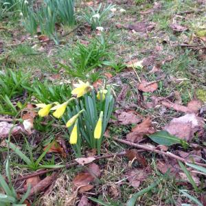 Where the Ideas Come From