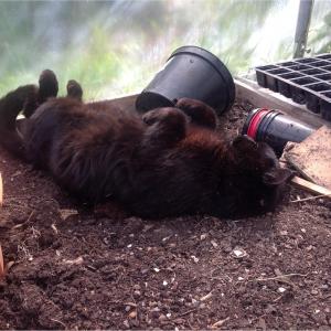 Time's Running Out Here